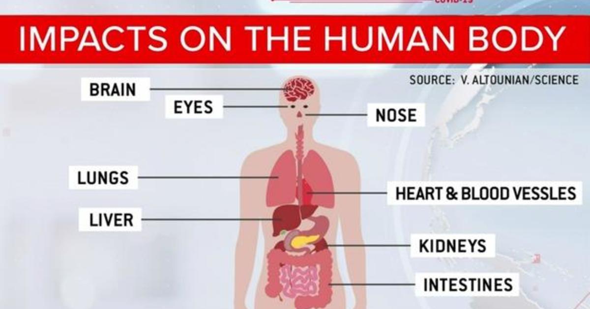 Understanding The Extent Of Damage Covid Does To The Body Cbs News