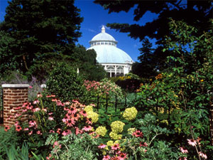 NewYork Botanical Garden 