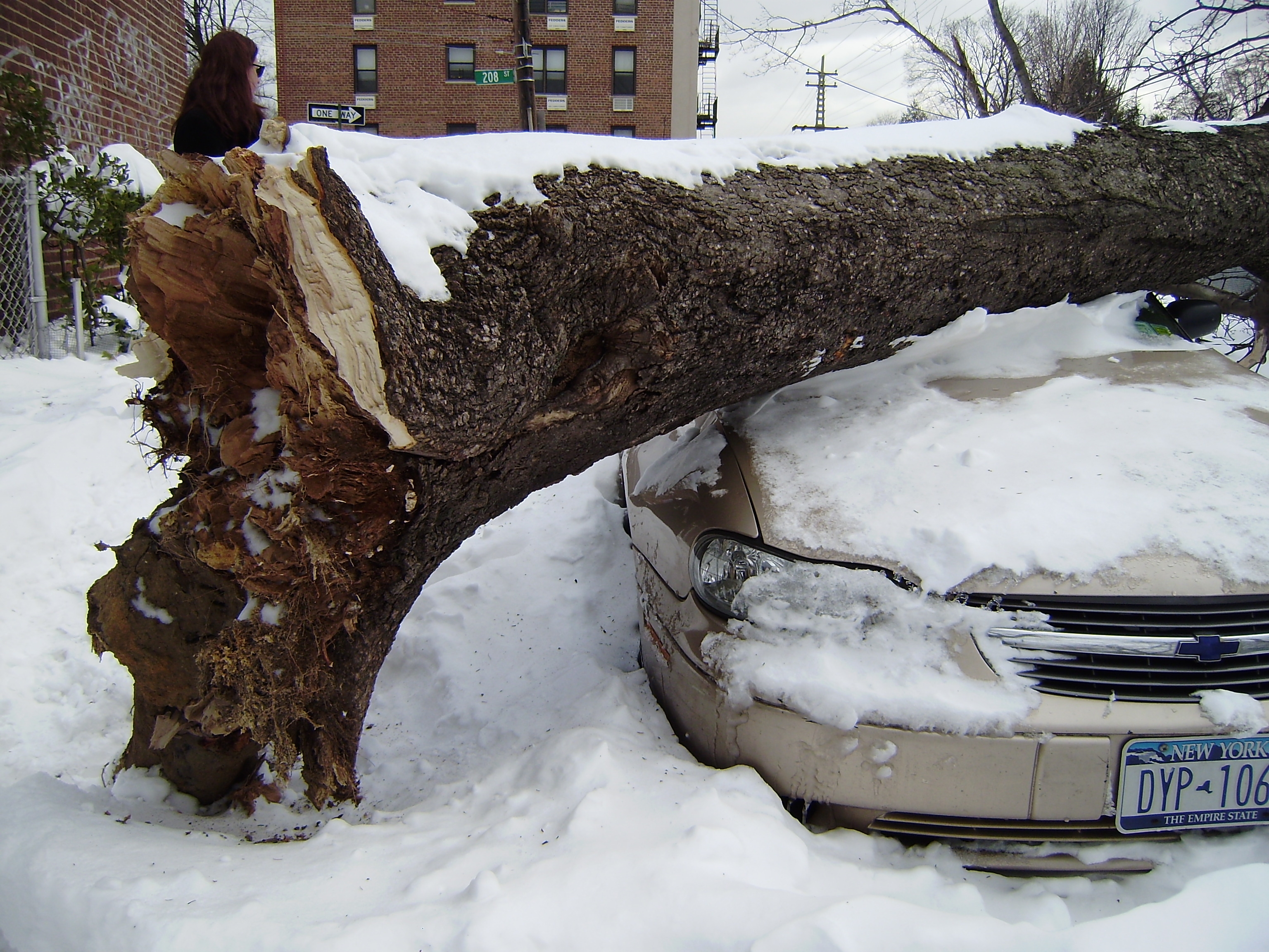 storm-damage-from-marianne-victor-in-bayside-queens.jpg 