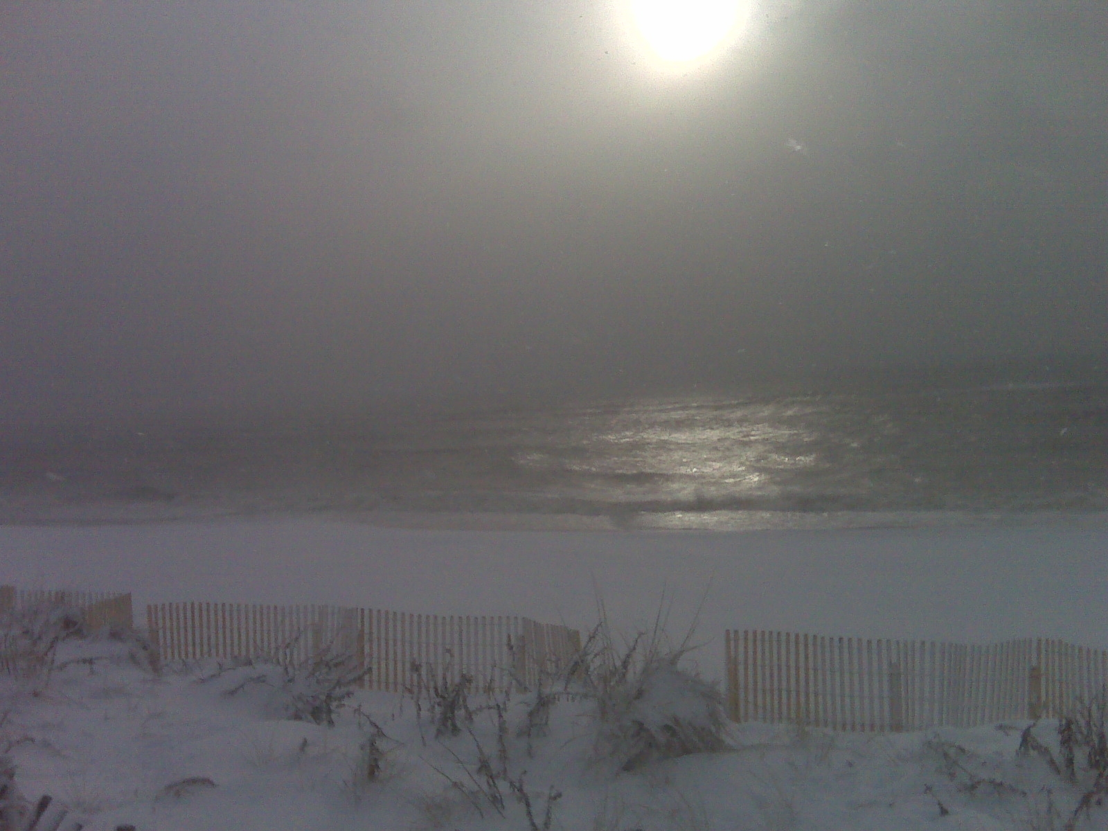 from-cory-in-quogue.jpg 