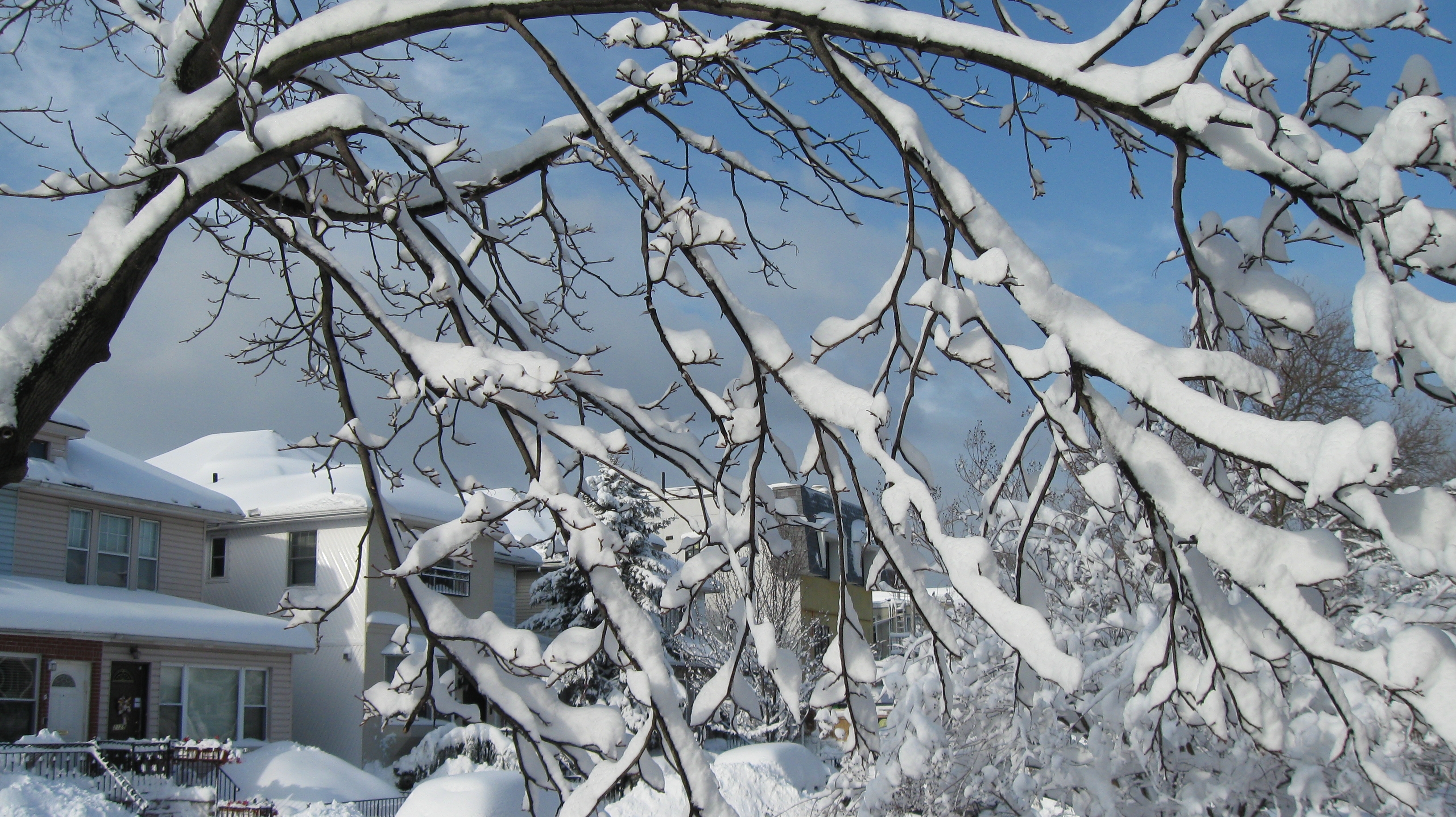 snow-59th-st-bensonhurst-brooklyn-james.jpg 