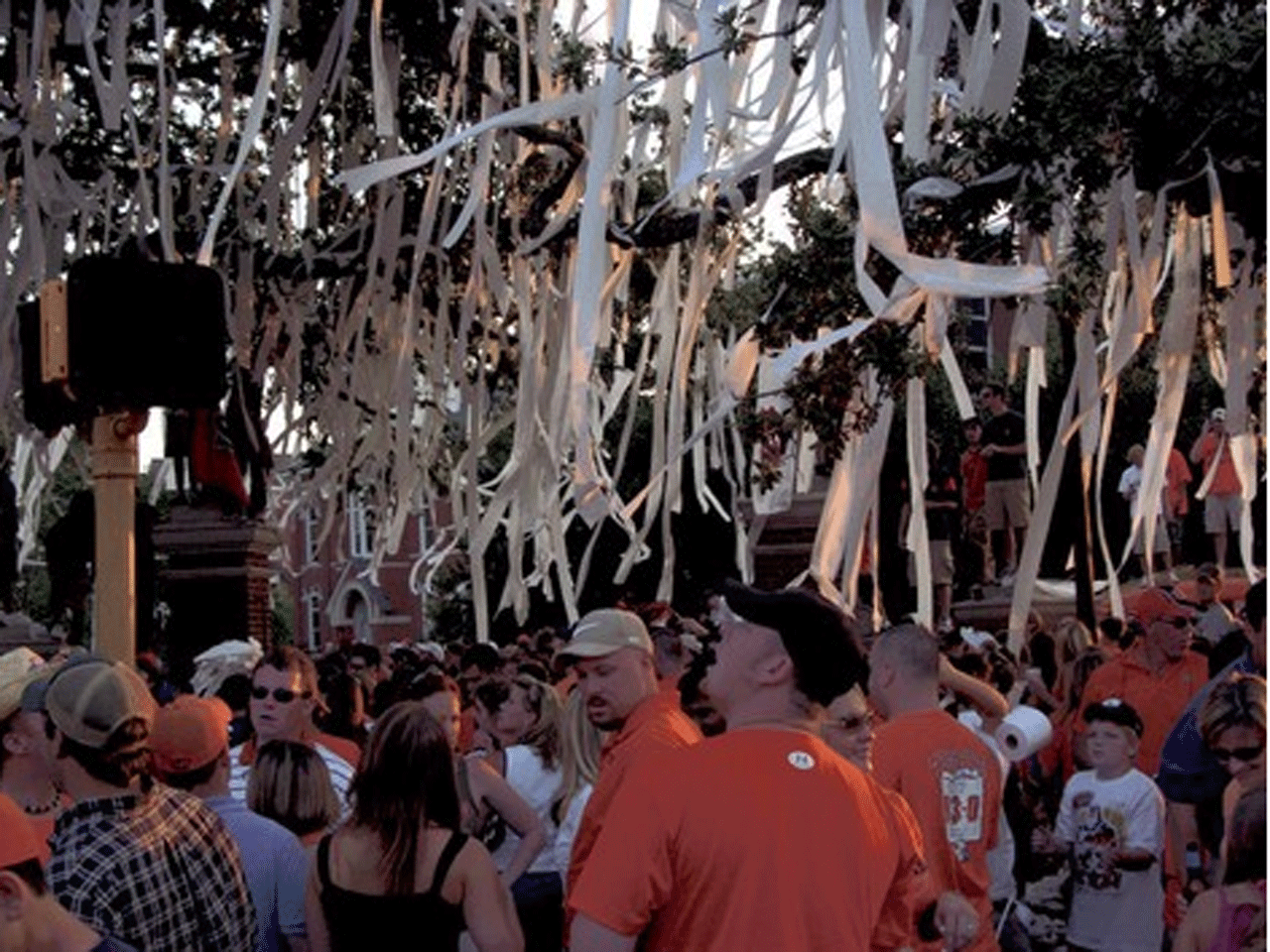 Toomer's Corner Tree Poisoning Arrest Made 