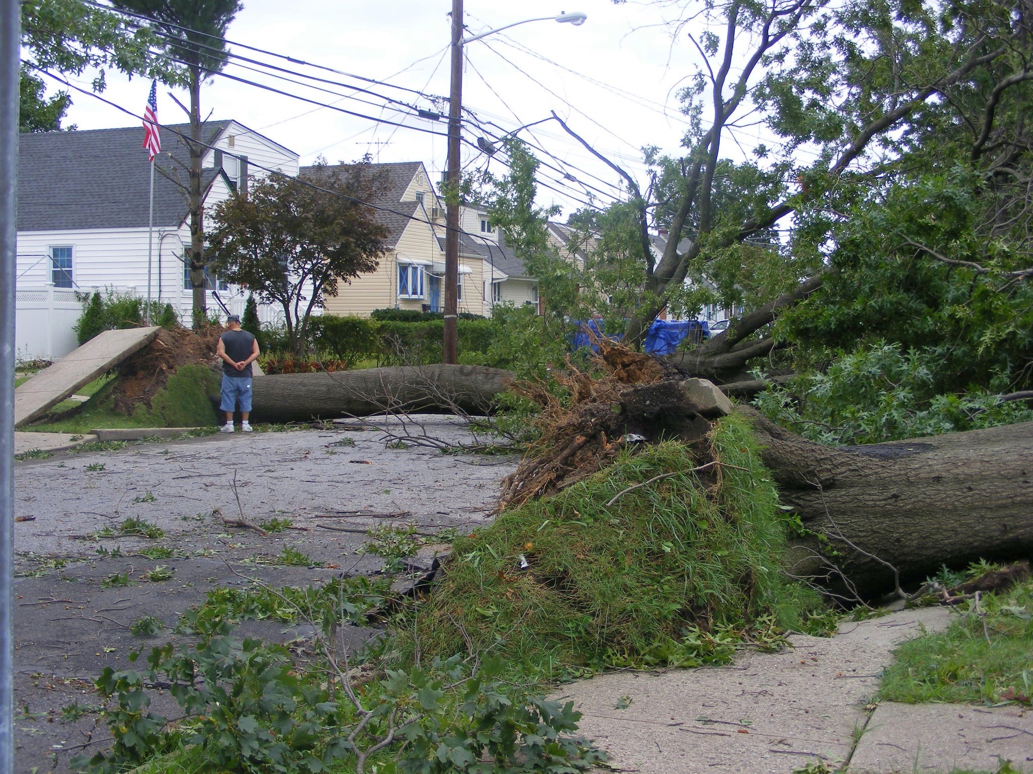 in-elmont-nassau-county-huge-trees-uprooted-credit-facebook-fan-pic-by-kathy-yasenchak-mcmanus.jpg 