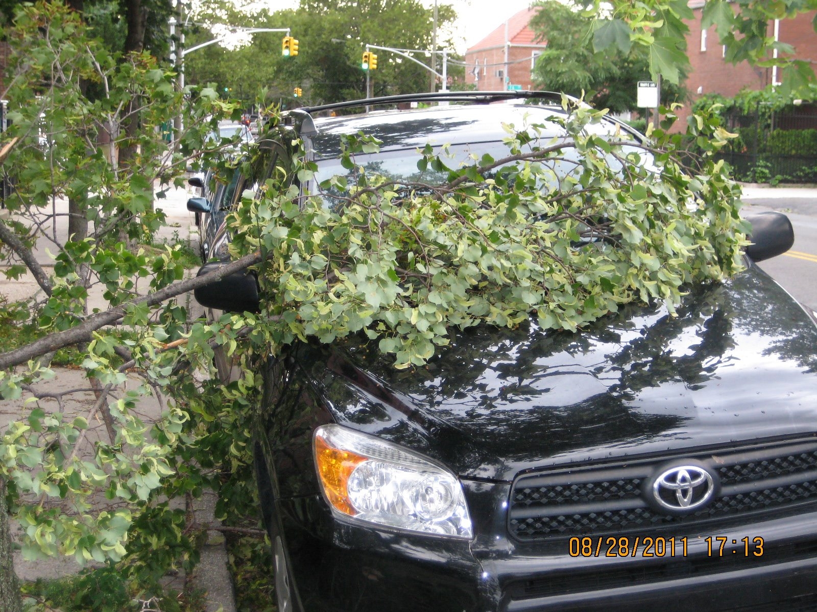tree-limbs-down-on-a-car-32nd-ave-77th-st-in-jackson-heights-queens-credit-facebook-fan-pic-by-allyson-forsythe.jpg 