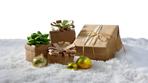 Eco Holiday Gifts 