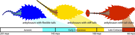 ankylosaur-tail-evolution-timeline.jpg 