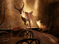 cliftons-cafeteria-taxidermy-244.jpg 