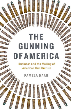 the-gunning-of-america-cover-244-basic-books.jpg 