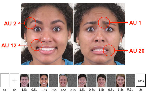 facial-expressions.jpg 