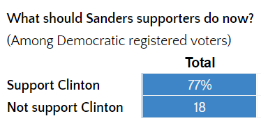 what-should-sanders-supporters.png 