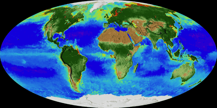 nasa-earth-time-lapse.gif 