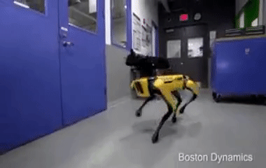 How the robot dog may change future - CBS