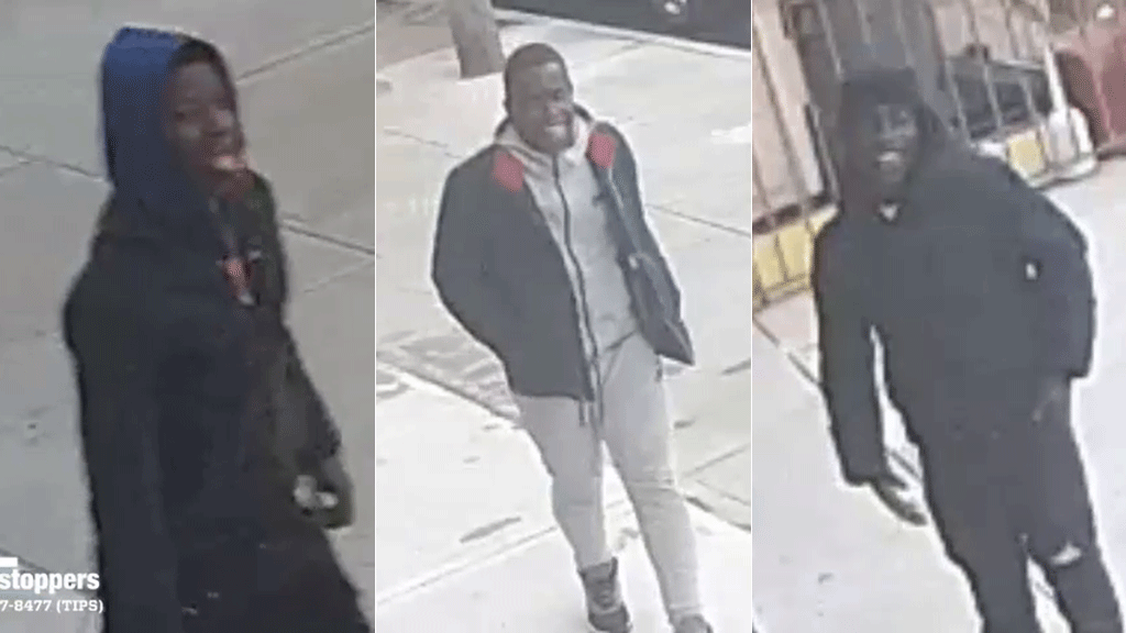 Crown-Heights-rock-attack-NYPD.gif 