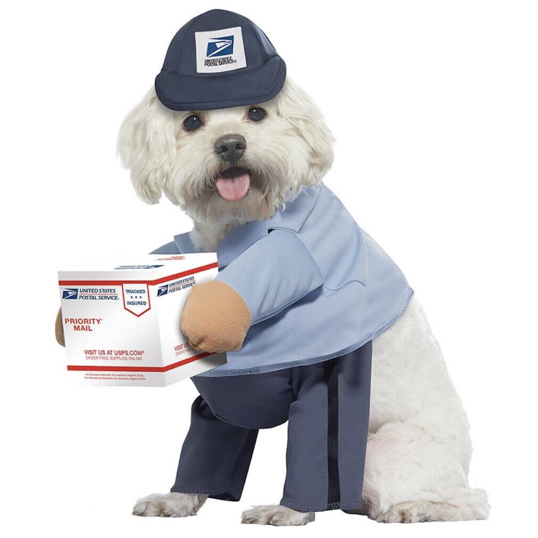 California Costumes USPS Delivery Driver Dog Costume 