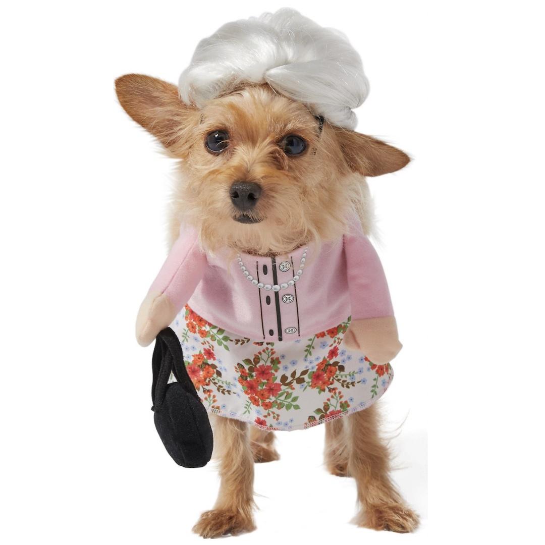 Frisco Front Walking Granny Dog Costume 