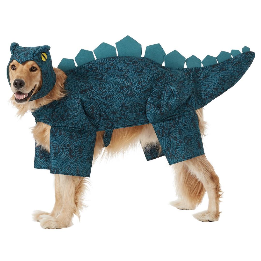 Frisco Stegosaurus Dinosaur Dog Costume 