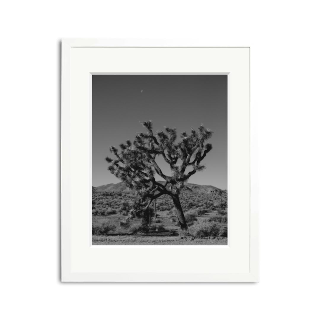 Joshua Tree print 