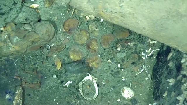 U.K. court rules on $43 million of treasure from WWII shipwreck