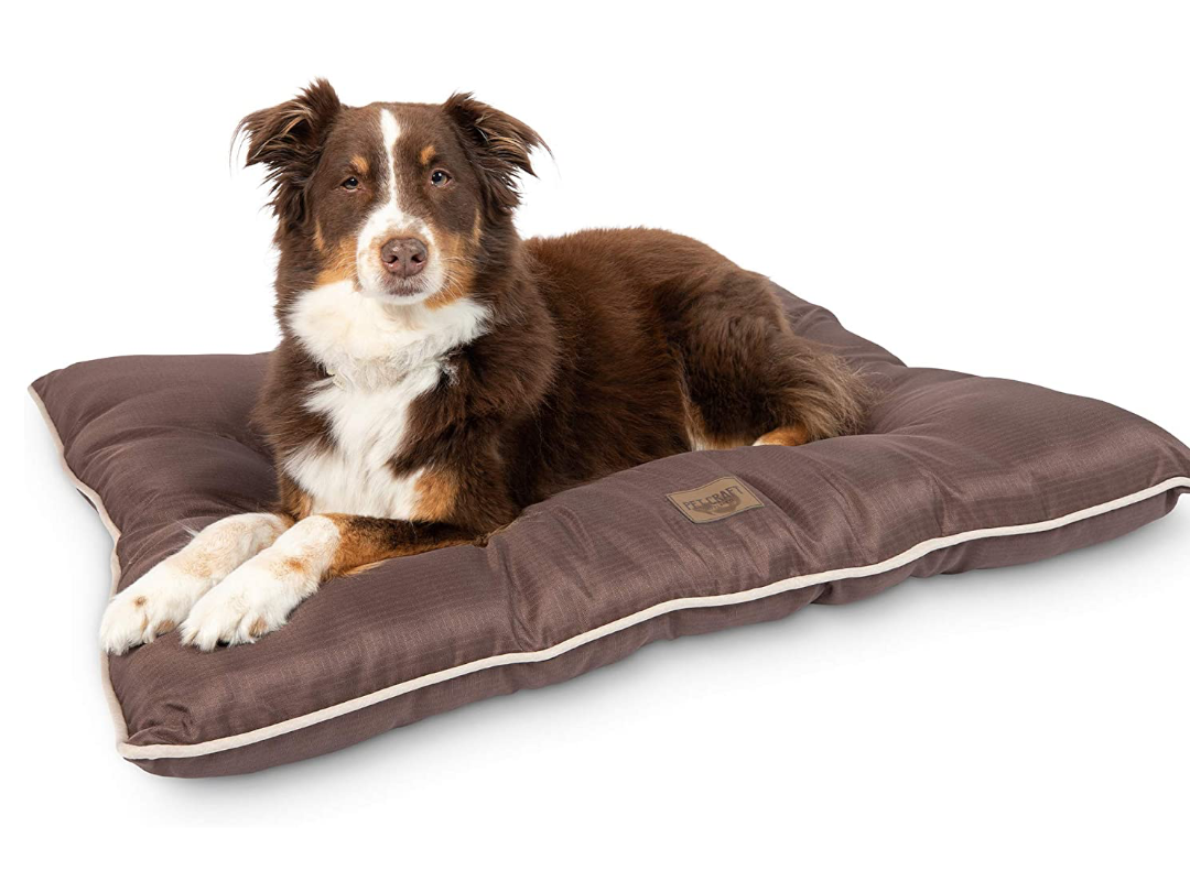 dogbed.png 