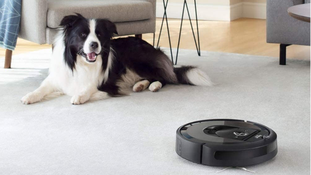 Best robot vacuums for pet hair in 2023, according to Amazon reviewers and  owners - CBS News