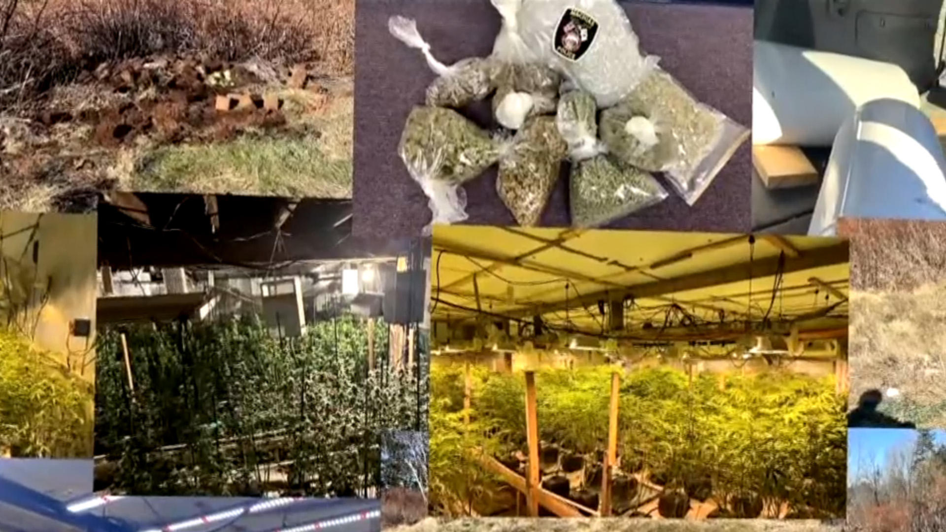 Marijuana tied to Chinese criminal networks infiltrates Maine