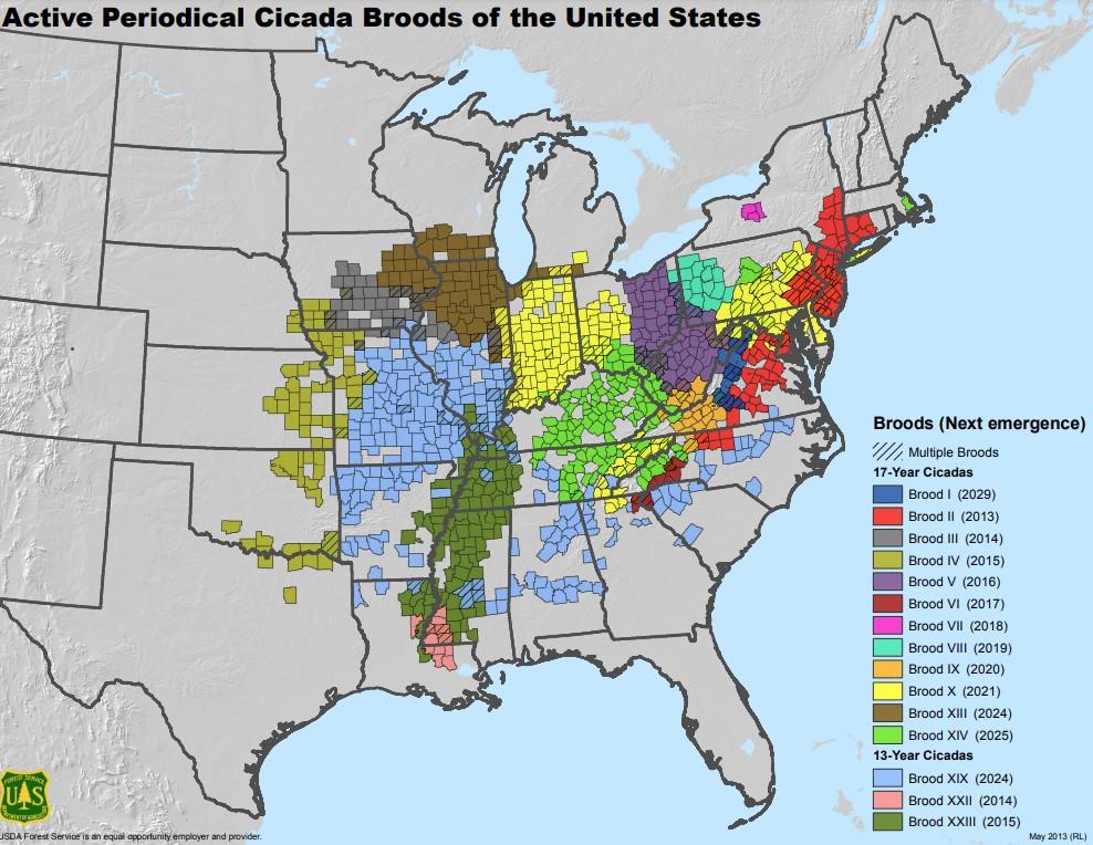 active-periodical-cicada-broods-map-us-forest-service.jpg