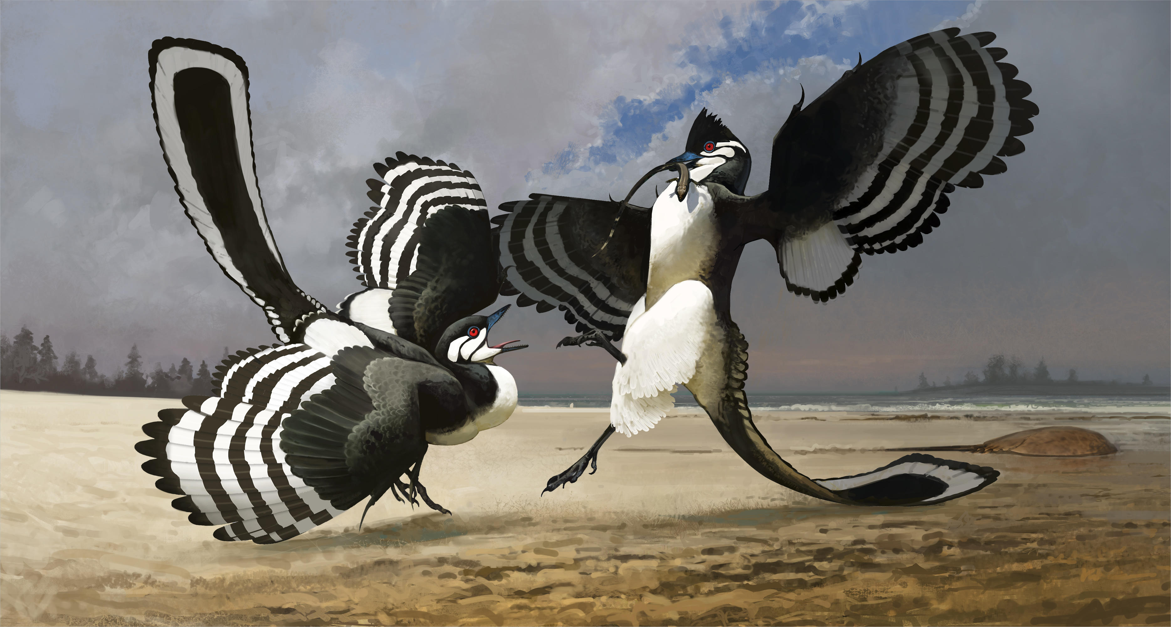 archaeopteryx-final-small.jpg 