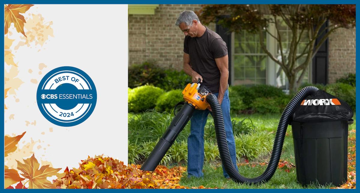 The 5 best electric and battery powered leaf blowers for fall 2024