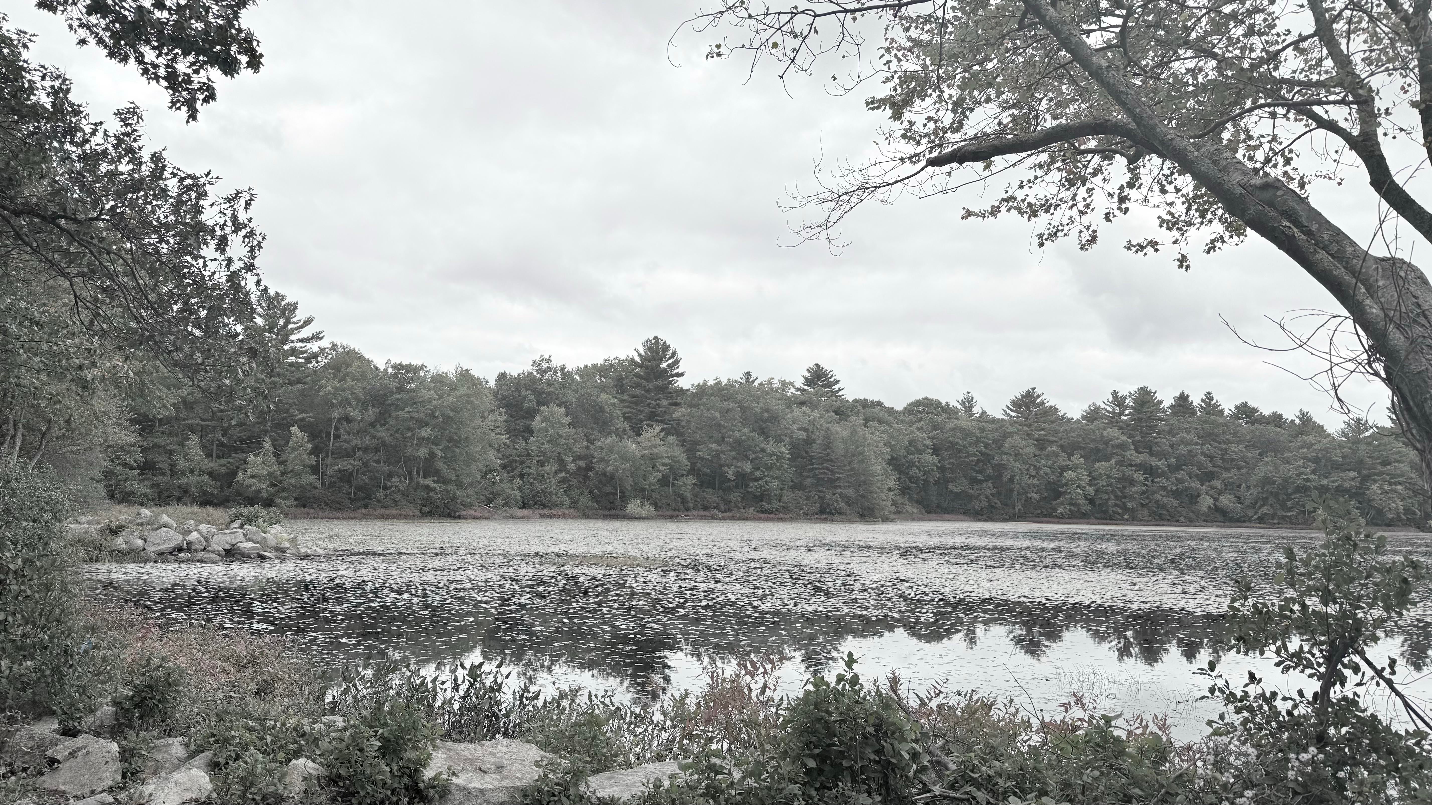 iPhone 16 Pro Max Review