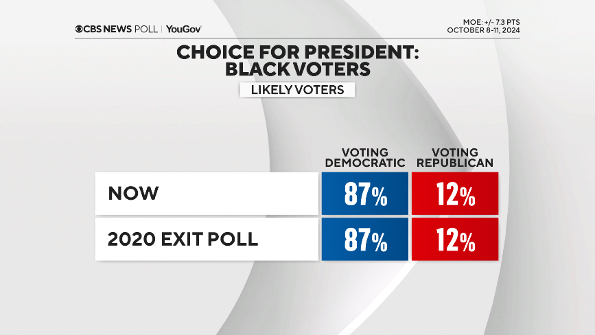 black-voter.png
