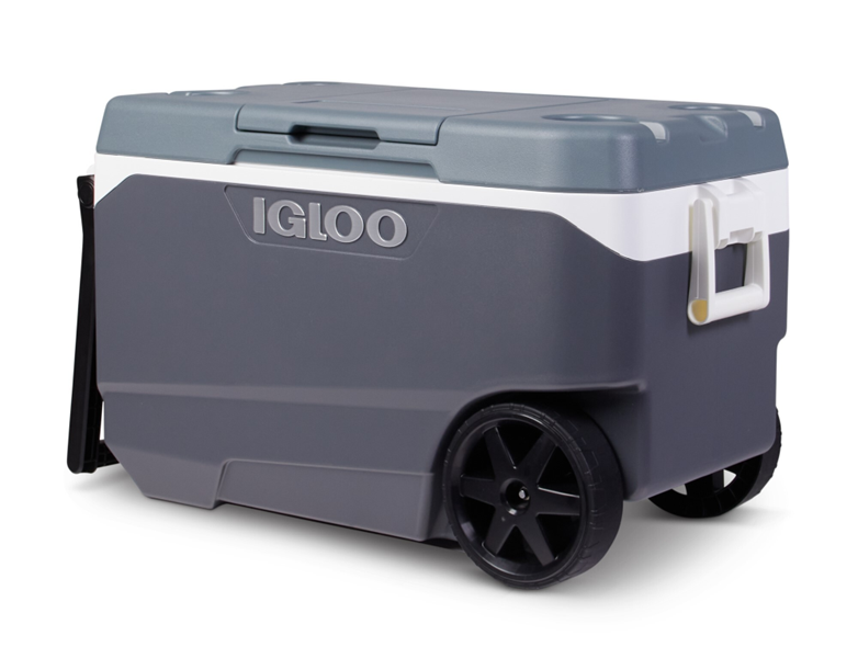 More than 1 million Igloo coolers recalled after reports of injuries including fingertip amputations