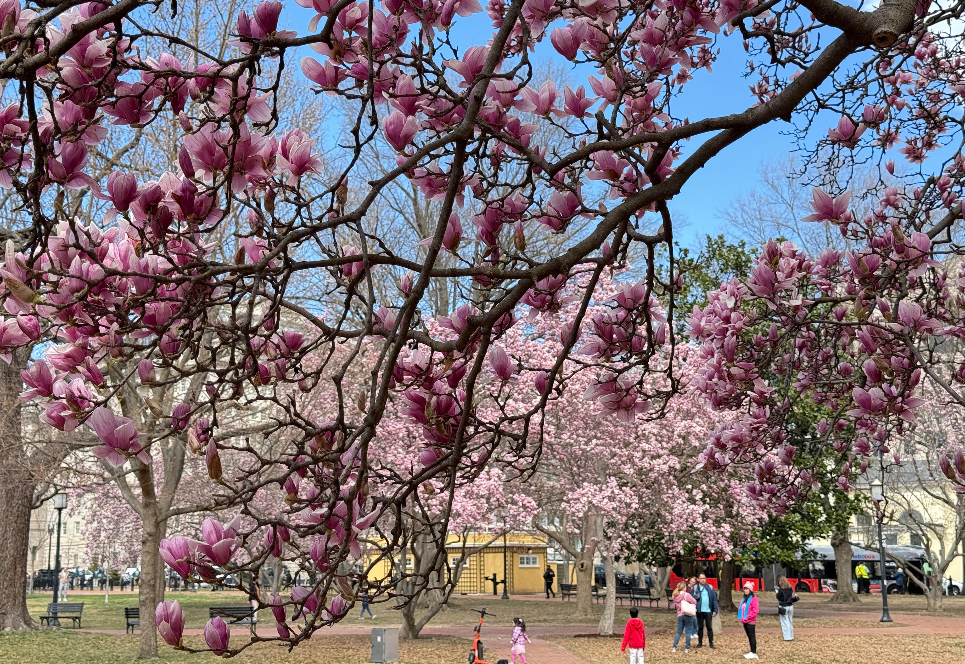 US-NATURE-ENVIRONMENT