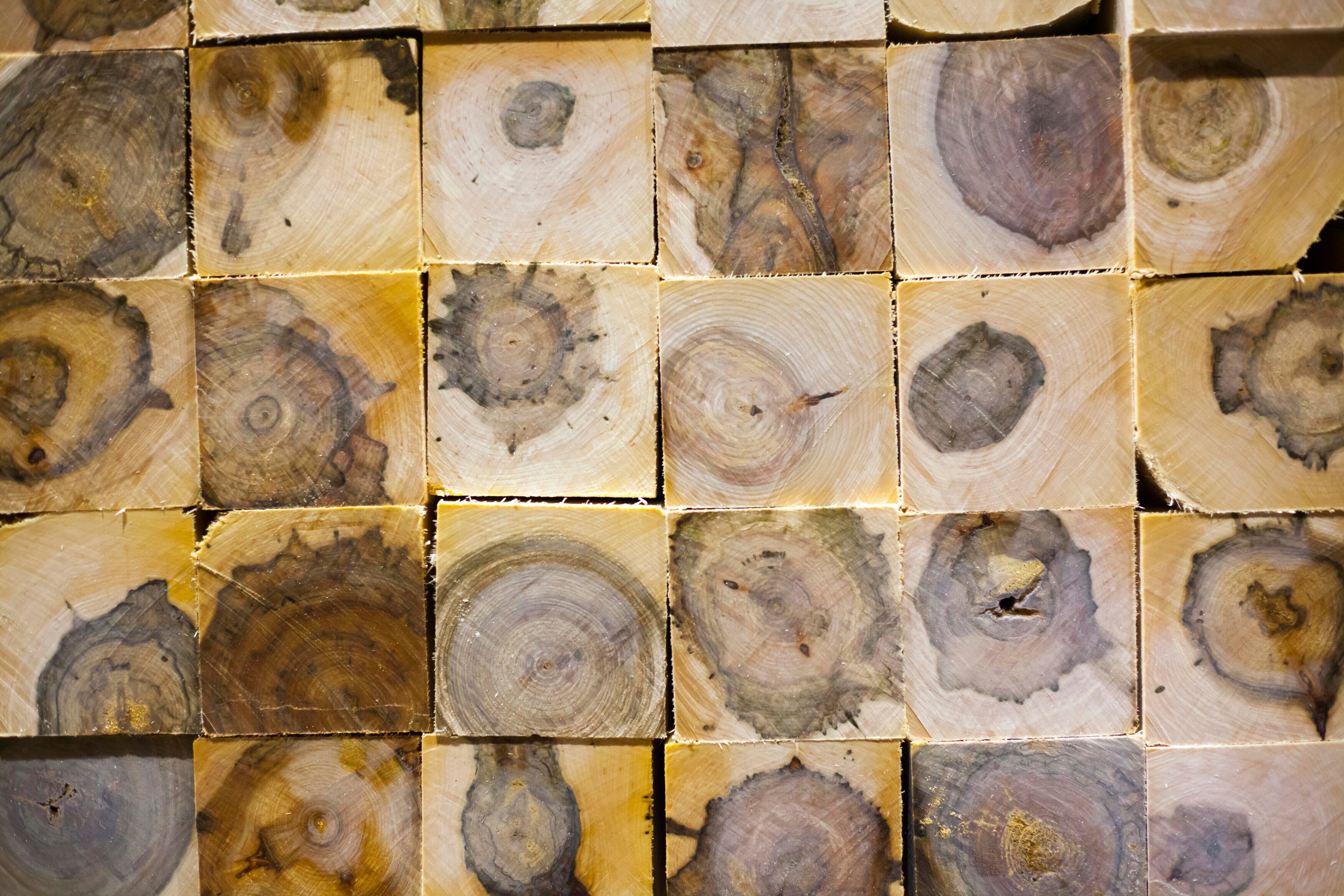 NCAA Court of Dreams Basketball