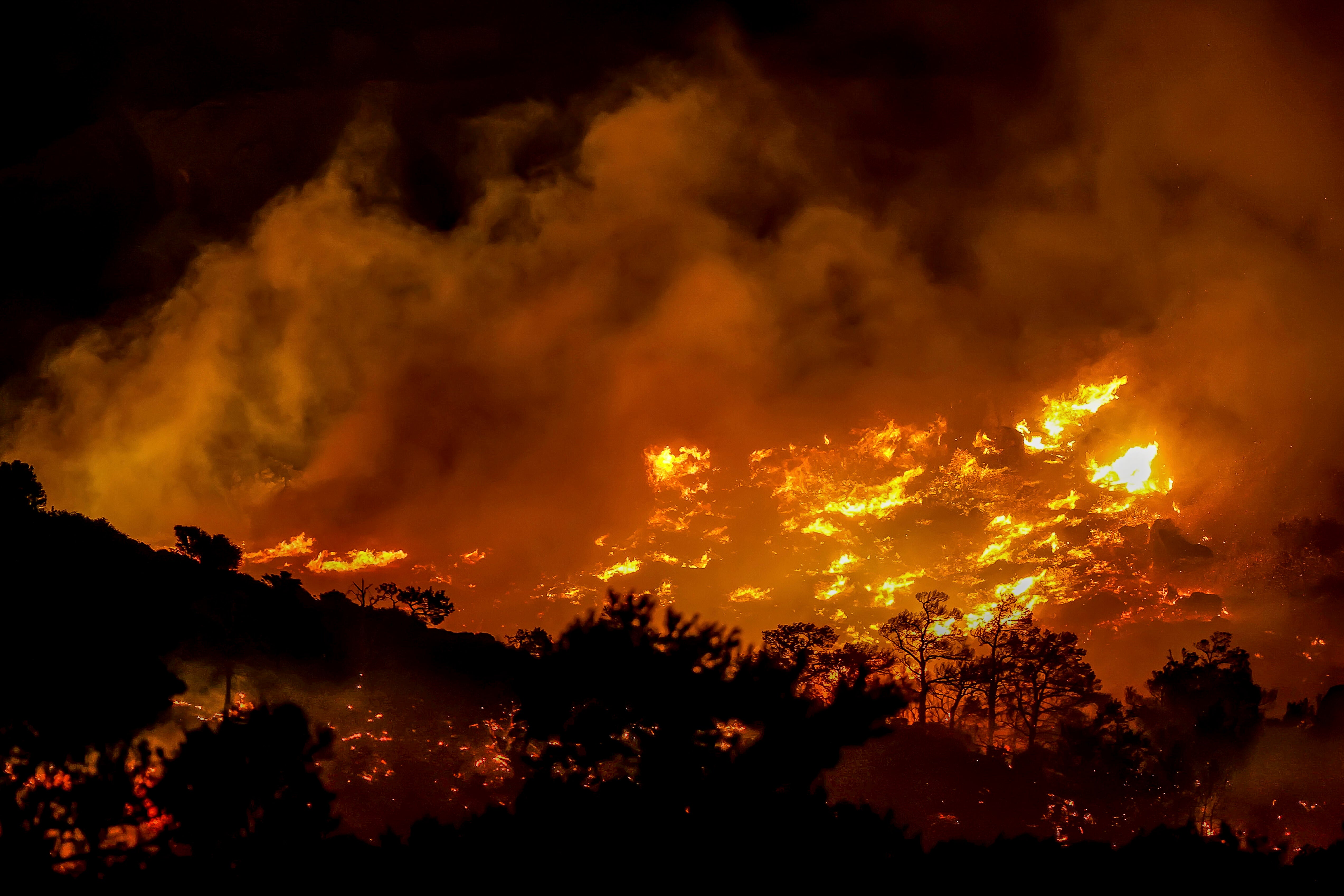 Greece Wildfire 