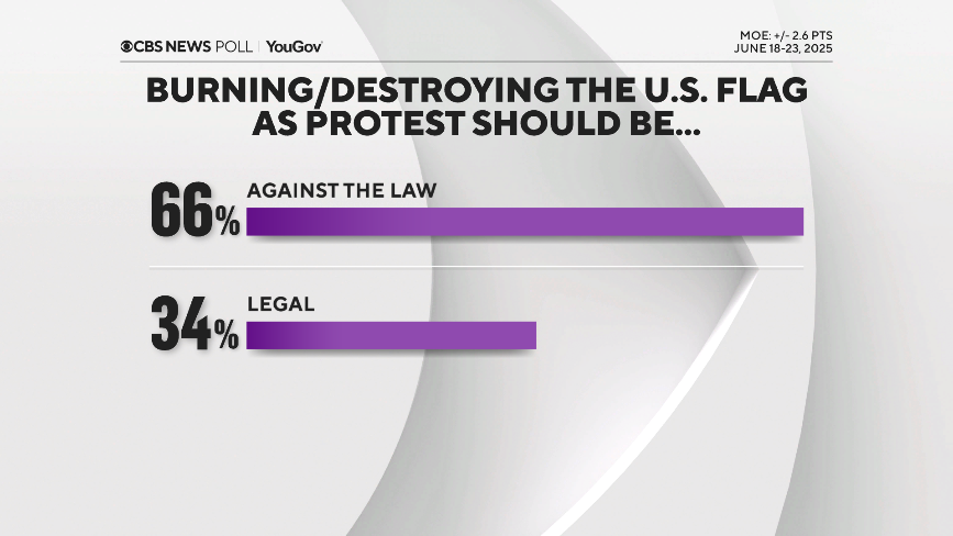 flag-burn-protest.png