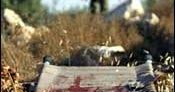 Seven Dead In West Bank Attack - CBS News