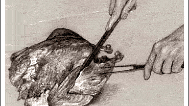 HOW TO CARVE A TURKEY 