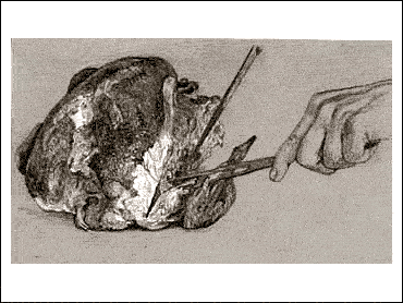 HOW TO CARVE A TURKEY 