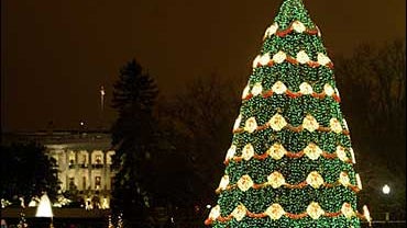 A Capital Christmas 