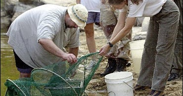Fish Rescue In Arizona - CBS News