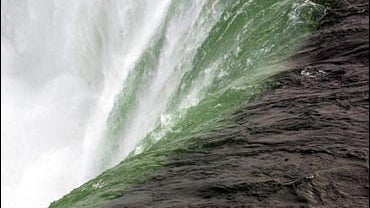 Force Of Nature 
