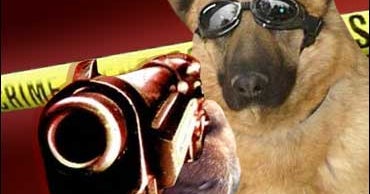 Dog Shoots Man? That's News! CBS News