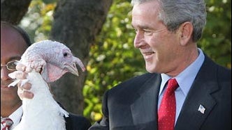 Thanksgiving 2004 