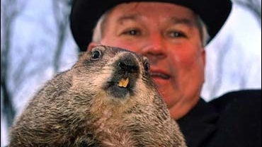 Phil Says 'More Winter' 