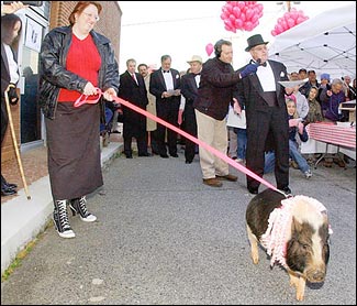 The Pig Begs To Differ 