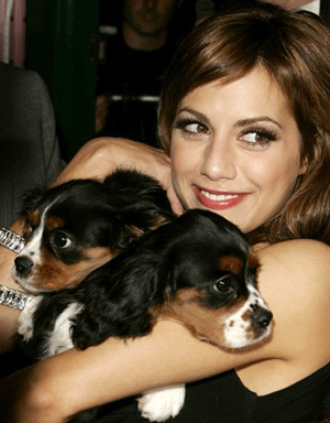 image704526.gif 
