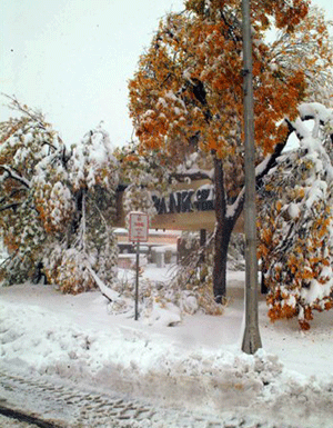 image917750.gif 