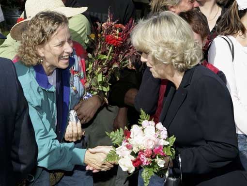 image1018803.jpg 