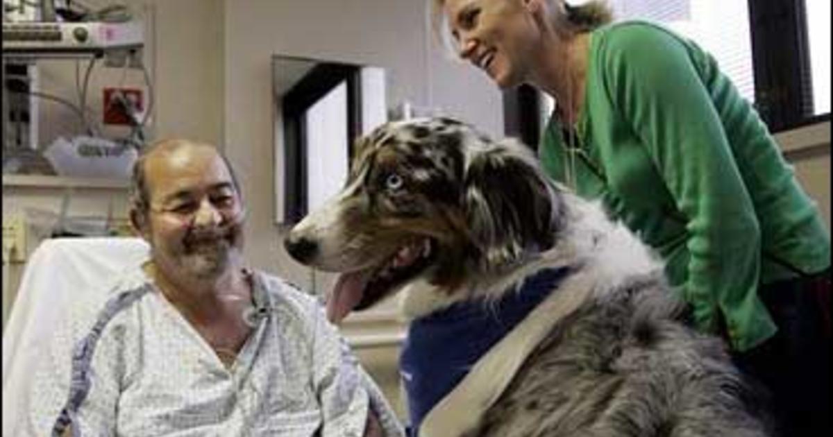 A Sick Man's Best Friend - CBS News