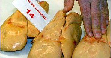Foie Gras Banned In Chicago CBS News